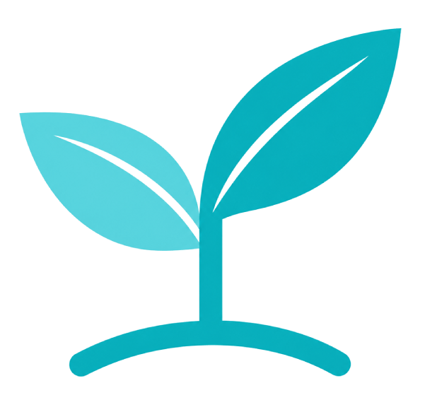 Affordable Web Design, Web Seedlings